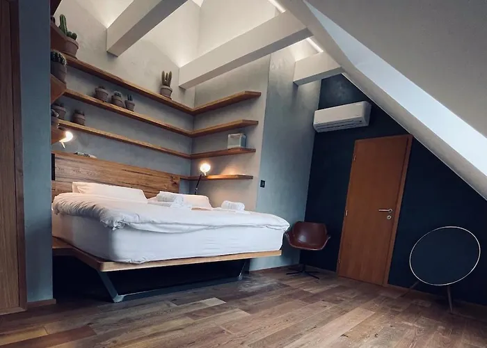 Maison d'hôtes Boutique Zikmundov 4*